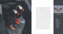 Laden Sie das Bild in den Galerie-Viewer, Living Wild - Classic Edition: Papageientaucher
