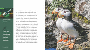 Living Wild - Classic Edition: Puffins