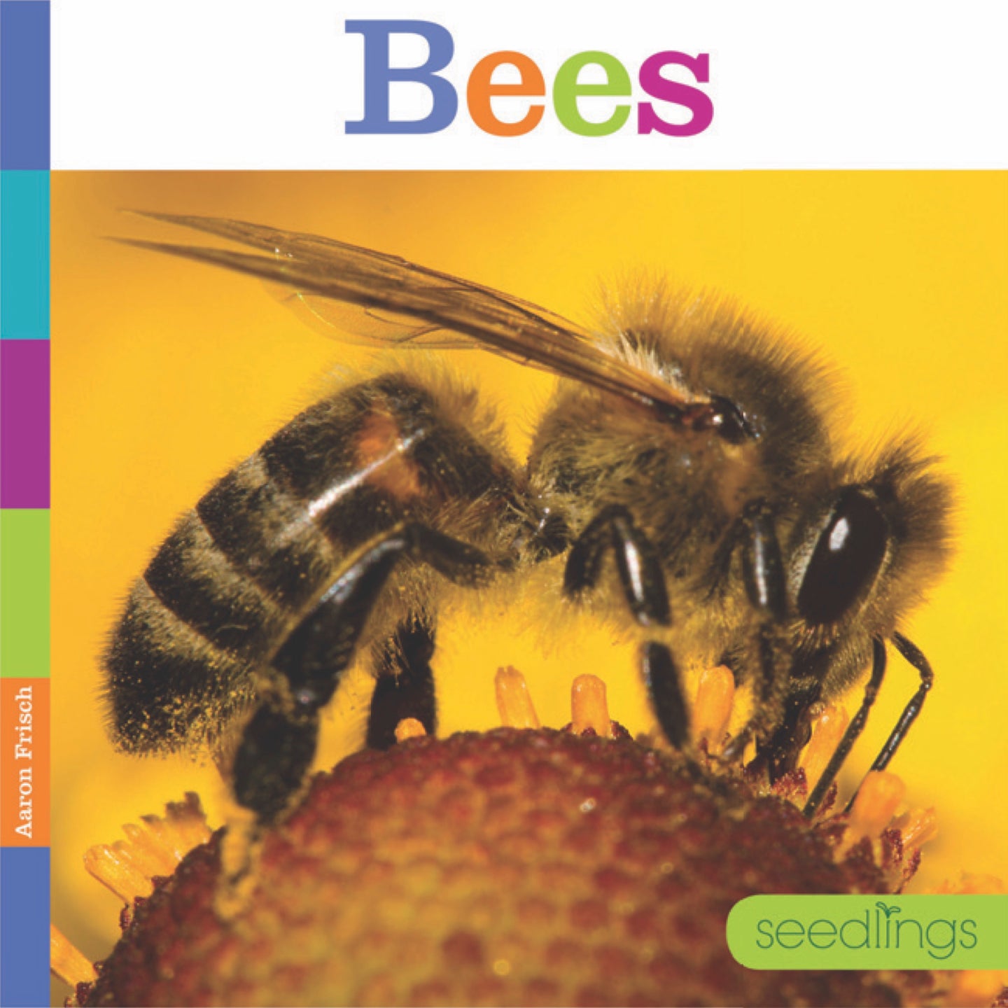 Sämlinge: Bienen