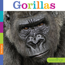 Laden Sie das Bild in den Galerie-Viewer, Sämlinge: Gorillas
