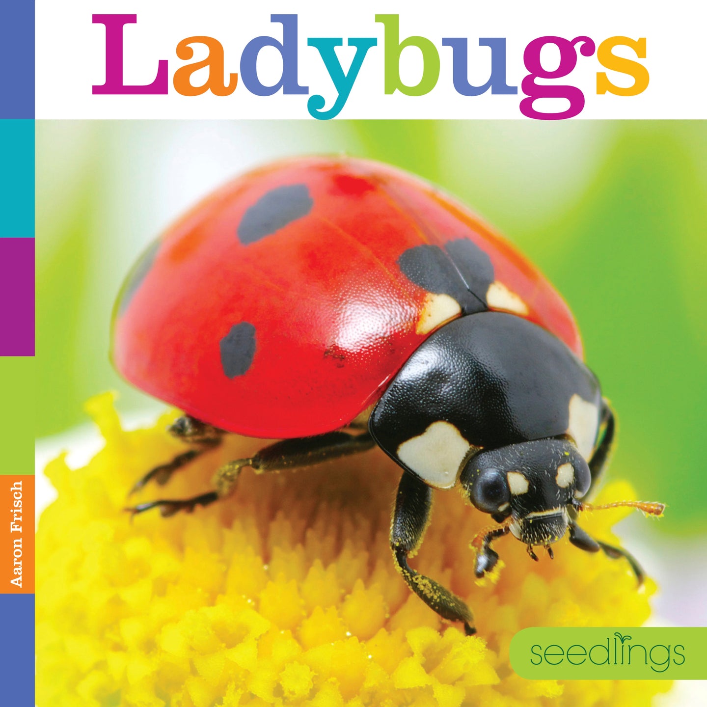 Seedlings: Ladybugs