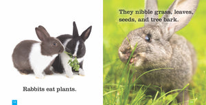 Seedlings: Rabbits