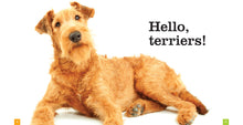 Laden Sie das Bild in den Galerie-Viewer, Sämlinge: Terrier
