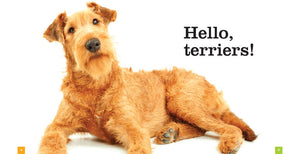 Seedlings: Terriers