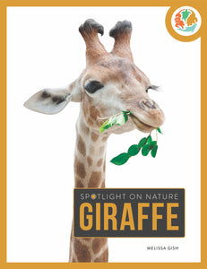 Spotlight on Nature: Giraffe
