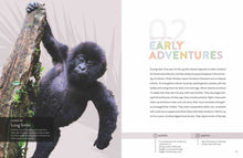 Laden Sie das Bild in den Galerie-Viewer, Die Natur im Rampenlicht: Gorilla
