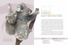 Laden Sie das Bild in den Galerie-Viewer, Die Natur im Rampenlicht: Koala
