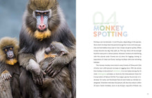 Laden Sie das Bild in den Galerie-Viewer, Die Natur im Rampenlicht: Affe
