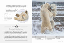 Laden Sie das Bild in den Galerie-Viewer, Die Natur im Rampenlicht: Eisbär
